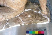 Plastik – „Brunhilde“ (während der Ausführung der Oberflächenverschlüsse und Formergänzungen)