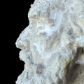 Plastik — „Portait Ernst Haeckel“ (während der Reinigung mit Laponite® RD-Gel)